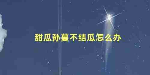 甜瓜孙蔓不摘心可以不(甜瓜孙蔓结瓜怎样修剪)